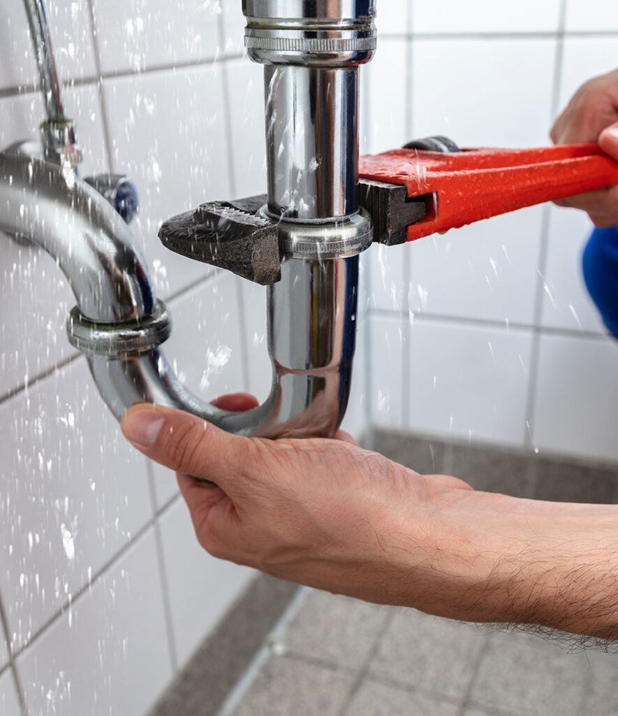 Blocked drain - Service Fox Sydney Plumber
