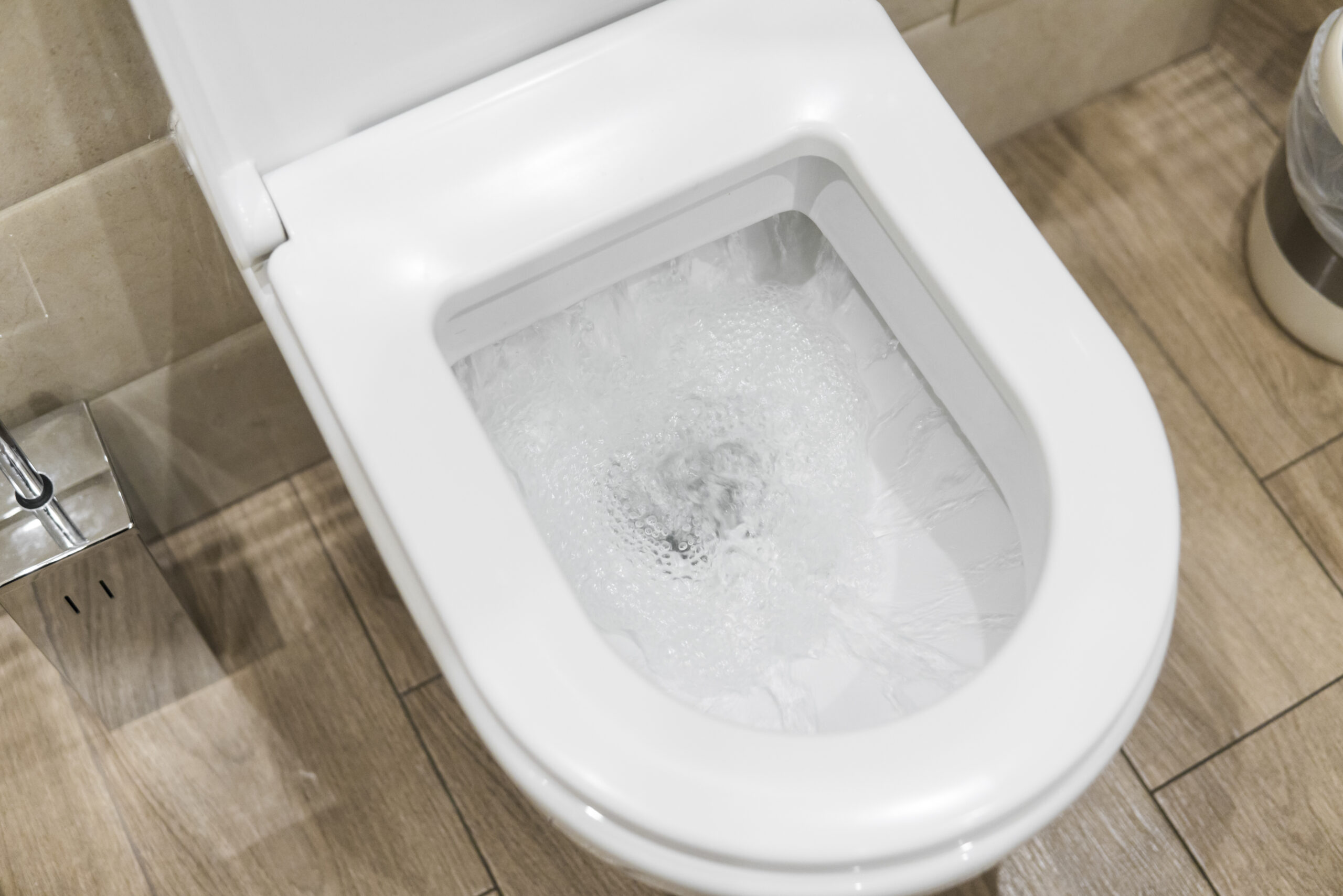 Reasons Your Toilet Water Rises When You Flush - Local Plumber